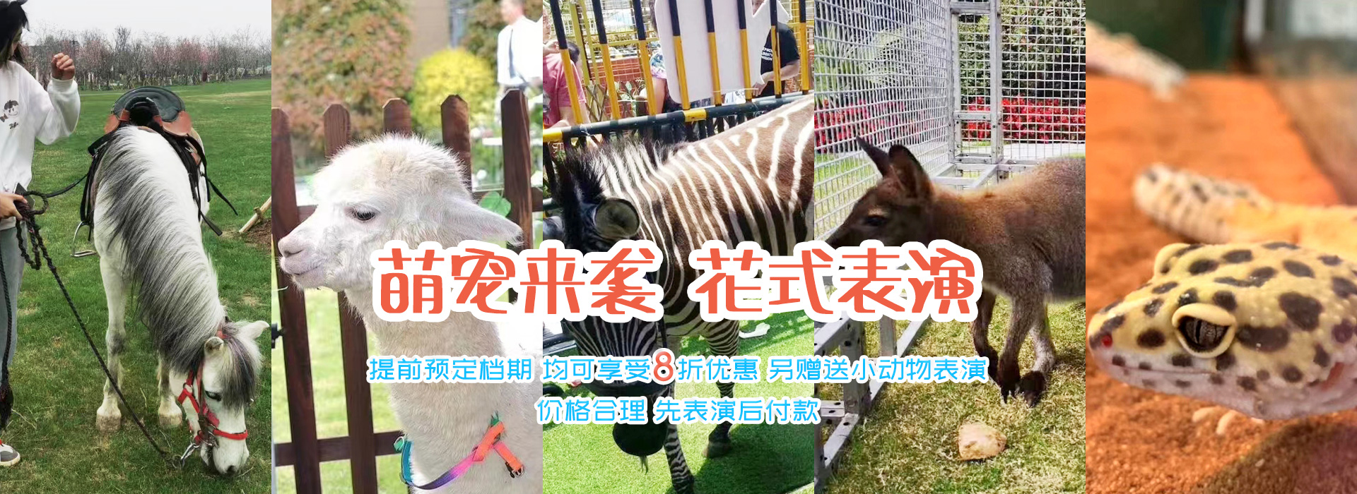 濟(jì)寧東瑞珍禽養(yǎng)殖有限公司