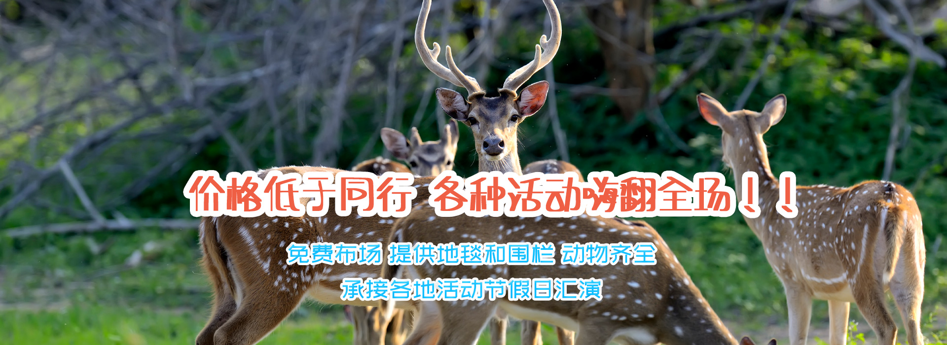 濟(jì)寧東瑞珍禽養(yǎng)殖有限公司