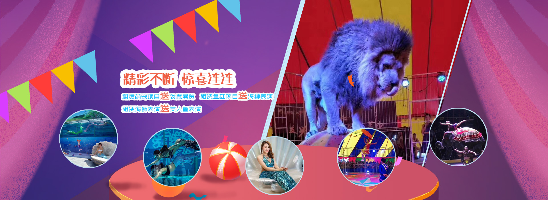 濟(jì)寧東瑞珍禽養(yǎng)殖有限公司