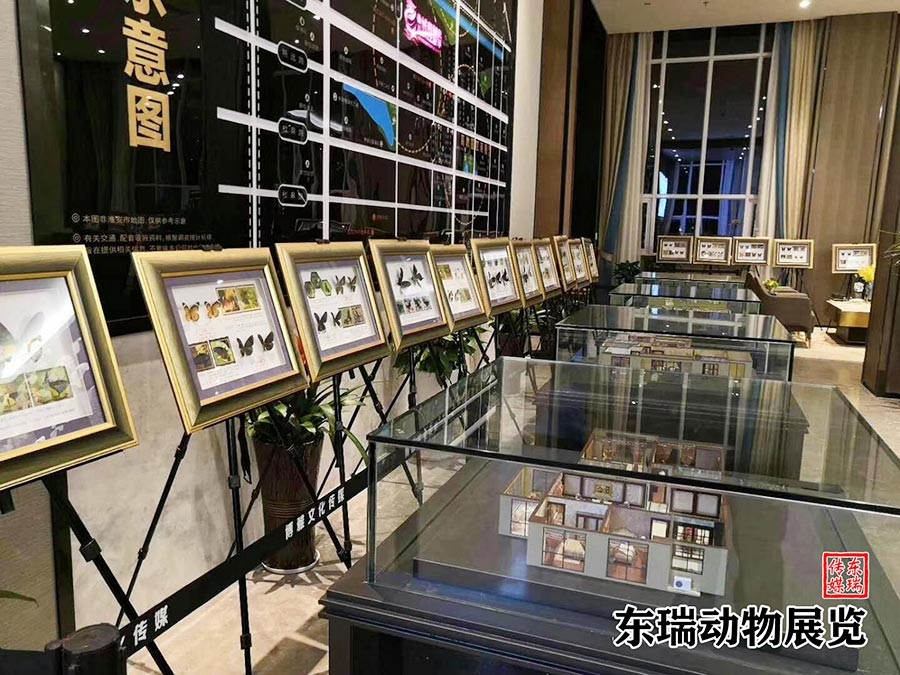 標(biāo)本展示