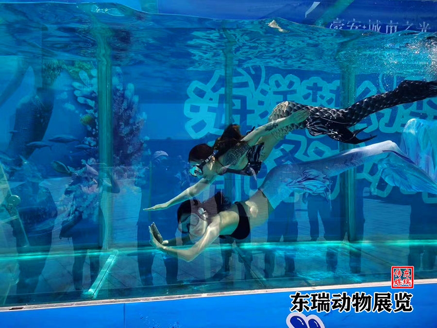 美人魚表演