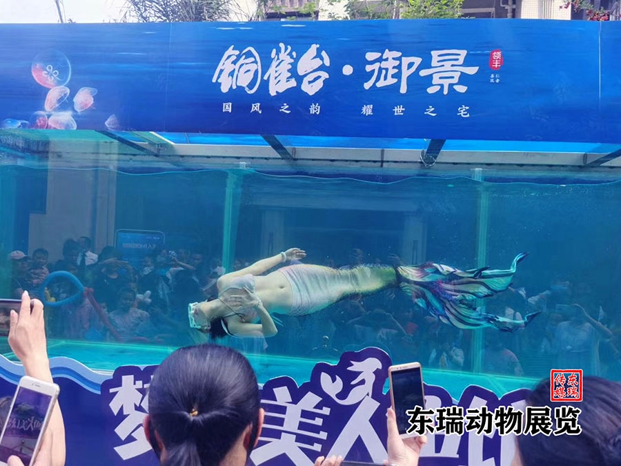 美人魚表演