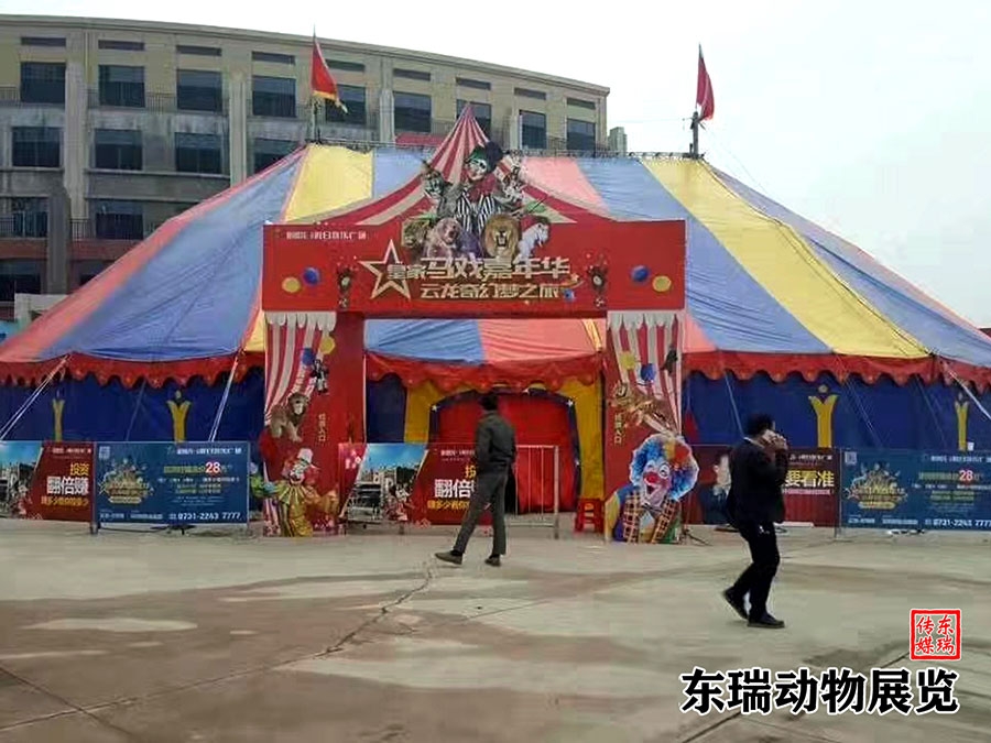 馬戲團(tuán)表演