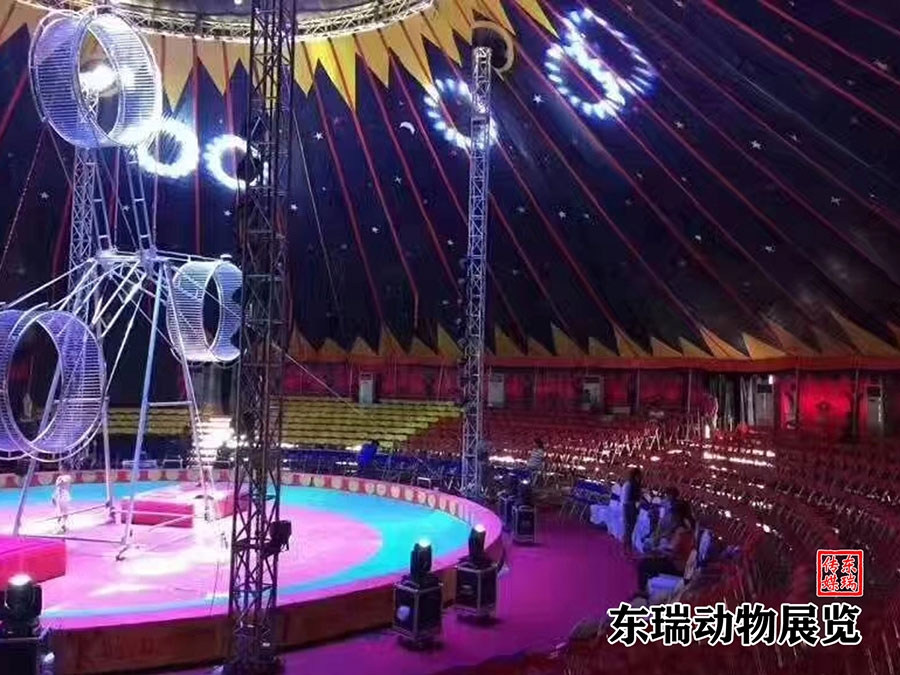 馬戲團(tuán)表演