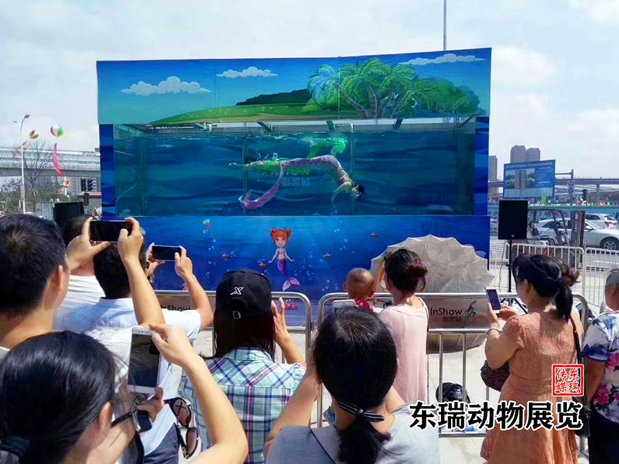 美人魚表演