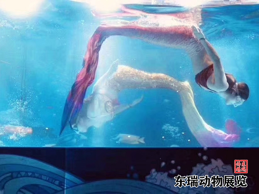 美人魚表演