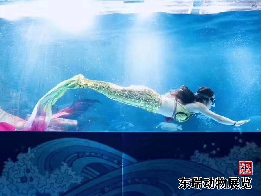 美人魚表演