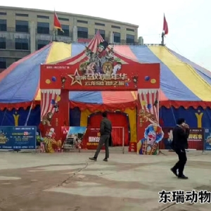 馬戲團(tuán)表演