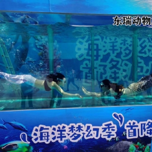 美人魚表演