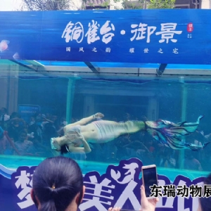 美人魚表演